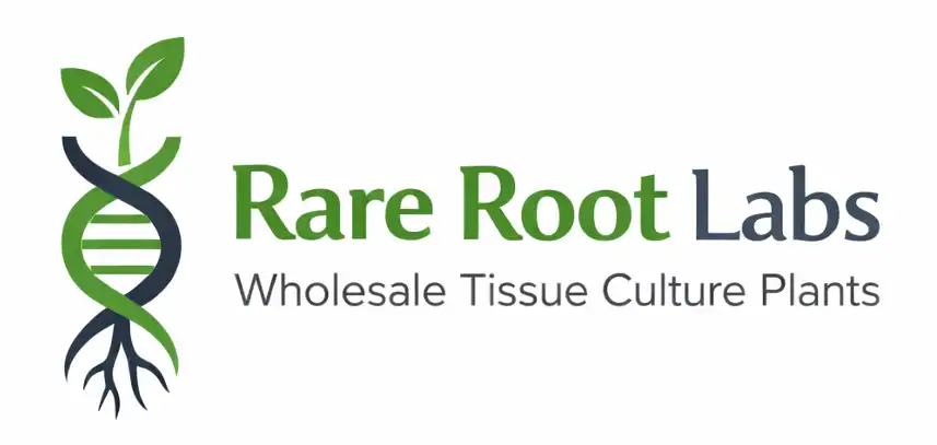 rare root labs wholesale tissue culture plants logo