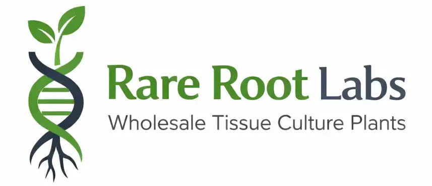 rare root labs wholesale tissue culture plants logo