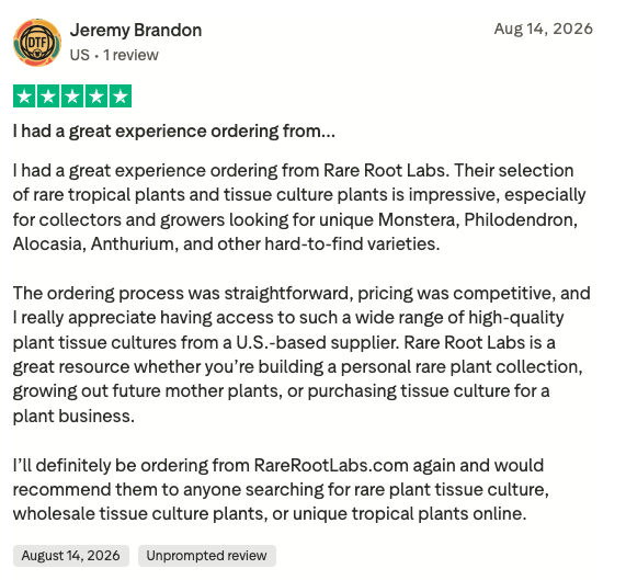 Trustpilot review screenshot from Jeremy Brandon