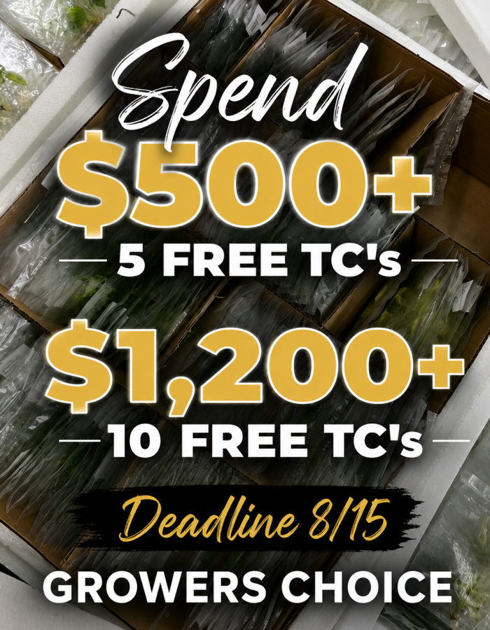 Claim my FREE TC’s